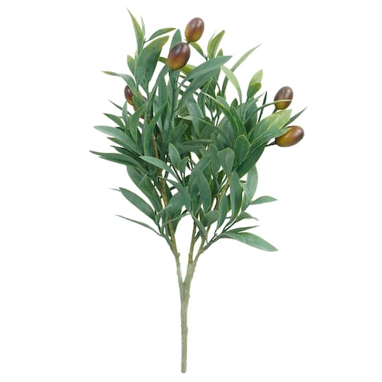 Michaels, 15" Olive Bush by Ashland® – Category: Bushes